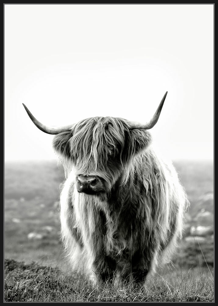 Premium Edition - Get My Best Side - Bovine Monochrome